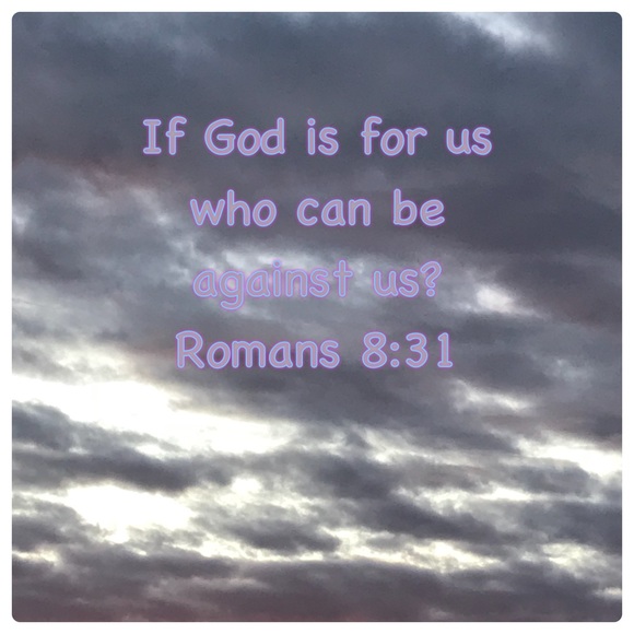 Meet your Posher, Betsy - Picture 2 of 2